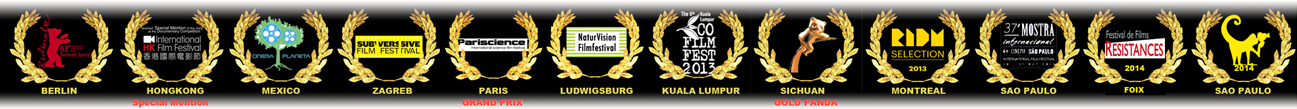 Festivals&Preise